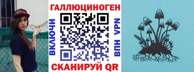 Галлюциногенные грибы GOLDEN TEACHER  купить  цена  Лесозаводск 